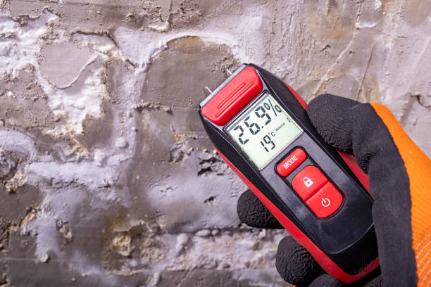 Mold Removal and Inspection in Elizabeth, PA